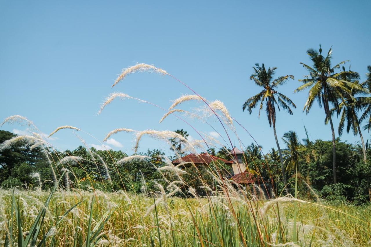 De Rekun Ubud Hotel Kültér fotó