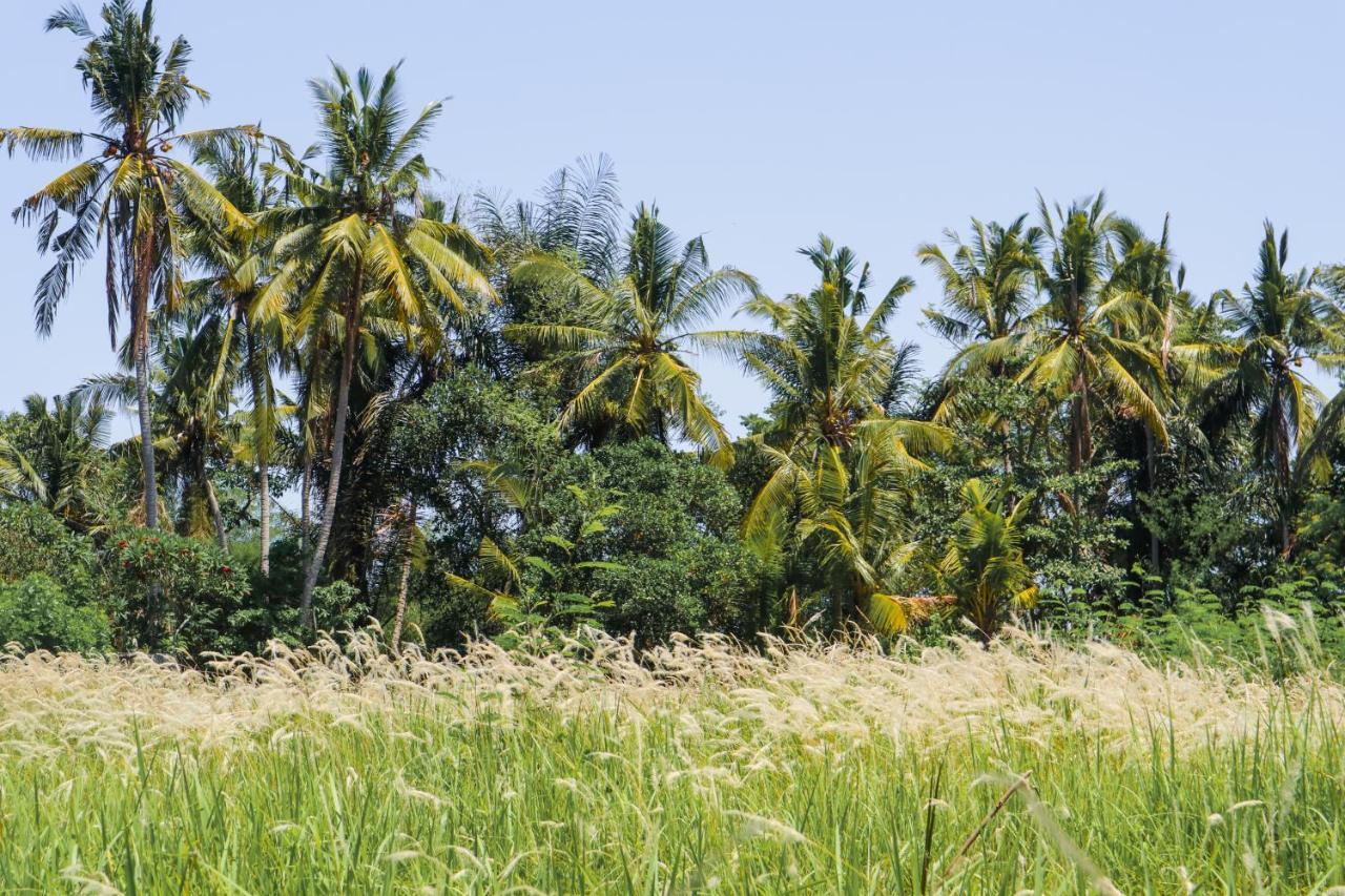 De Rekun Ubud Hotel Kültér fotó