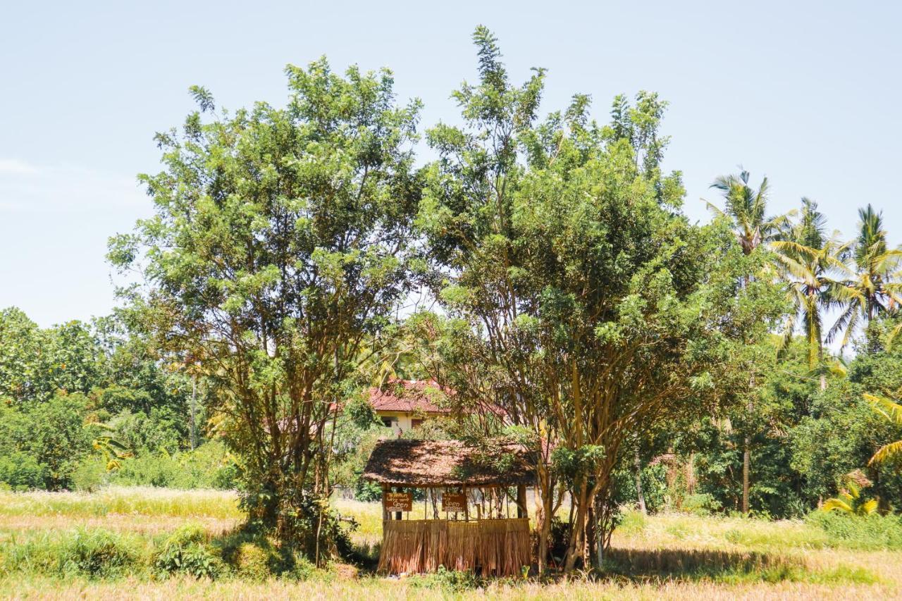 De Rekun Ubud Hotel Kültér fotó